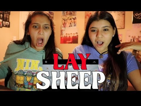 LAY 레이 SHEEP 羊 MV REACTION