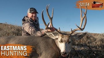 Montana Mule Deer Hunt