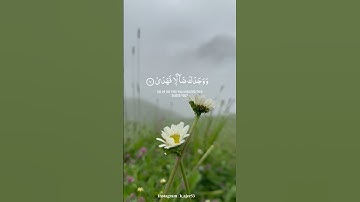 الشيخ محمد المنشاوي رحمه الله/ سورة الضحى #اجر #اكسبلور #القران_الكريم #اجر_لي_ولك #quran