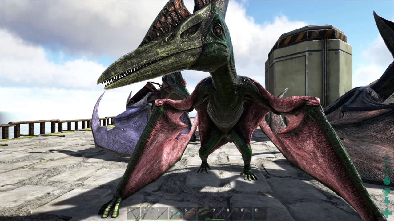 Ark Survival Evolved : New Hair New Bird and Star Gates No 9