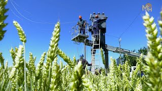 Літній сезон – напружений в діяльності енергетиків задля комфорту споживачів (ВІДЕО)
