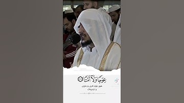القرا هيثم الدخين  ... تلاوه جميله