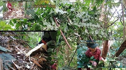 Ua ib lub tsev nyob hauv hav zoov nrog koj tus kwv thiab noj hauv hav zoov