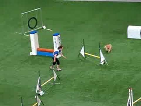 WC08 Team Agility Anna & Elli