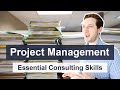 Project Management Consulting Skills - How consultants manage projects and file structures