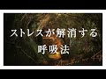 【5分】ストレス解消するマインドフルネス呼吸法【誘導瞑想|朝・昼・休憩中・夜・寝る前におすすめ】