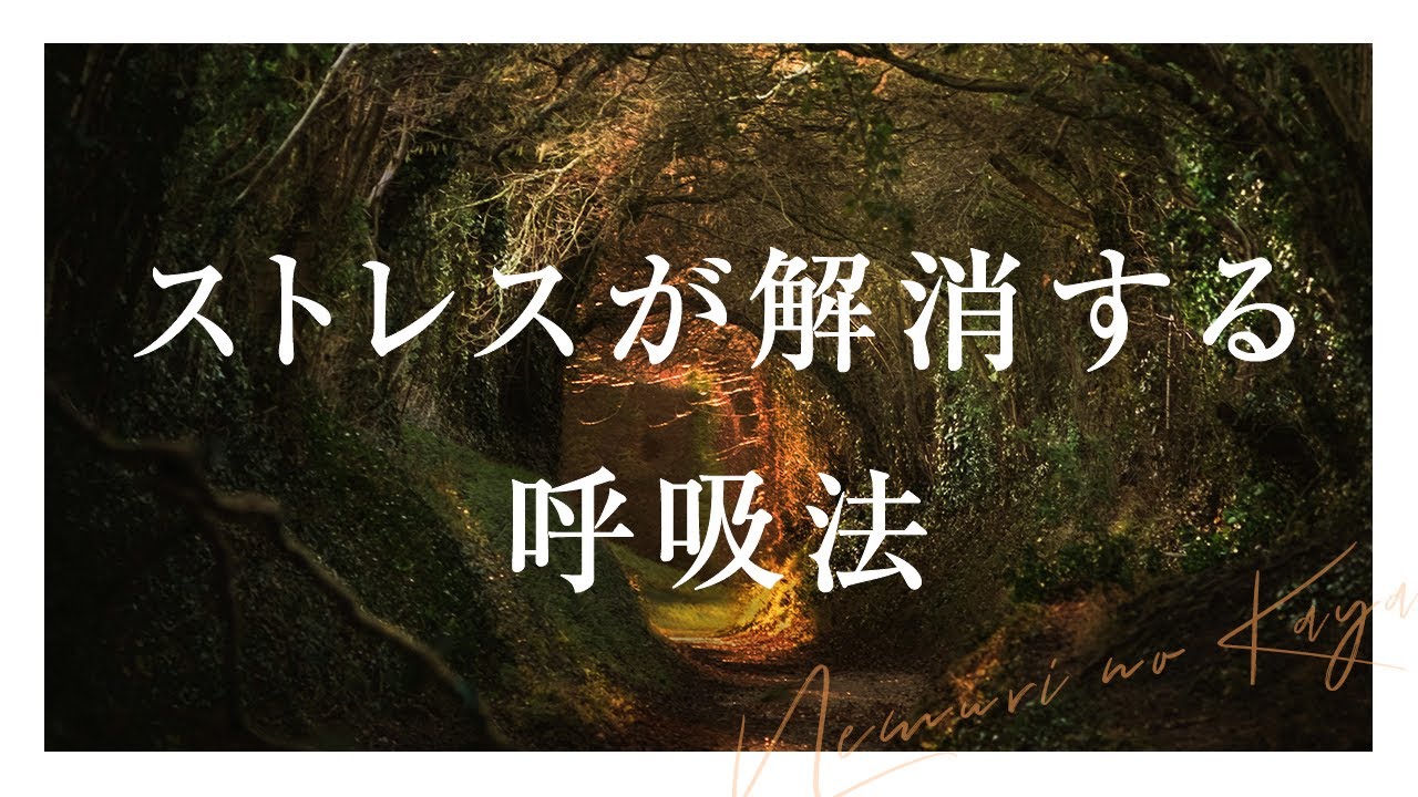 【5分】ストレス解消するマインドフルネス呼吸法【誘導瞑想|朝・昼・休憩中・夜・寝る前におすすめ】