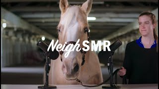 Neigh-Smr Case Study