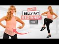 8-Minute Standing Abs Lower Belly Fat Workout | BEGINNER ABS!