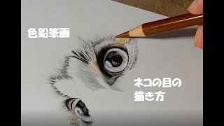 【色鉛筆画】ネコの目の描き方