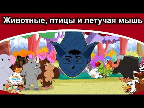 Животные, Птицы И Летучая Мышь| Русские Сказки | Сказки На Ночь | Русские Мультфильмы | Сказки