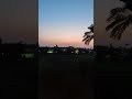 سكون الليل وصوت الطيور في الريف المصري   
