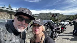 Turtle Rock Bar cafe harleydavidson napa norcal