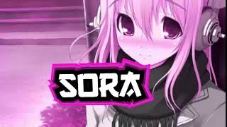 Sora Intro