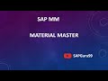 03 material master  sap mm  sap guru99