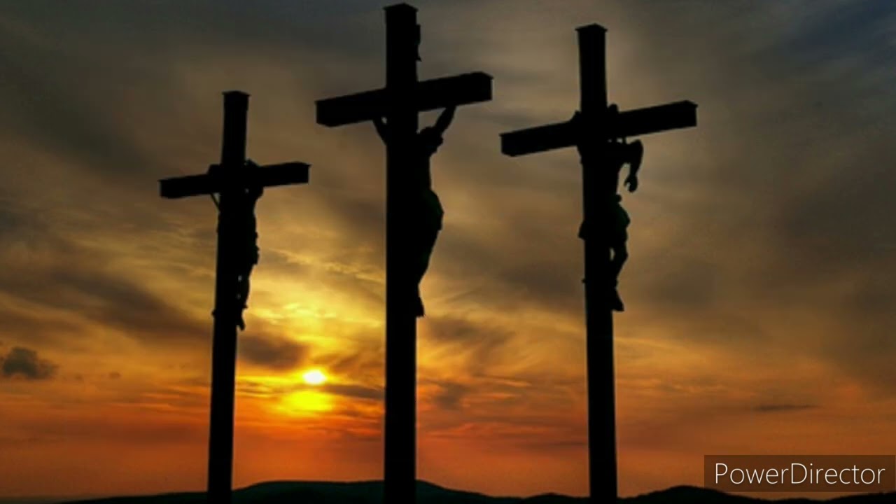 Die Man met Die Purperkleed