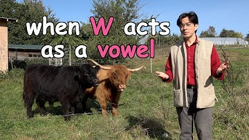 Is W a Vowel? Or a Consonant? Or Both? An Answer that Will Make You Say "Wow!" (Or at Least "Cow.")