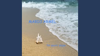 Video thumbnail of "Mario Armel - Pot pourri ségas"