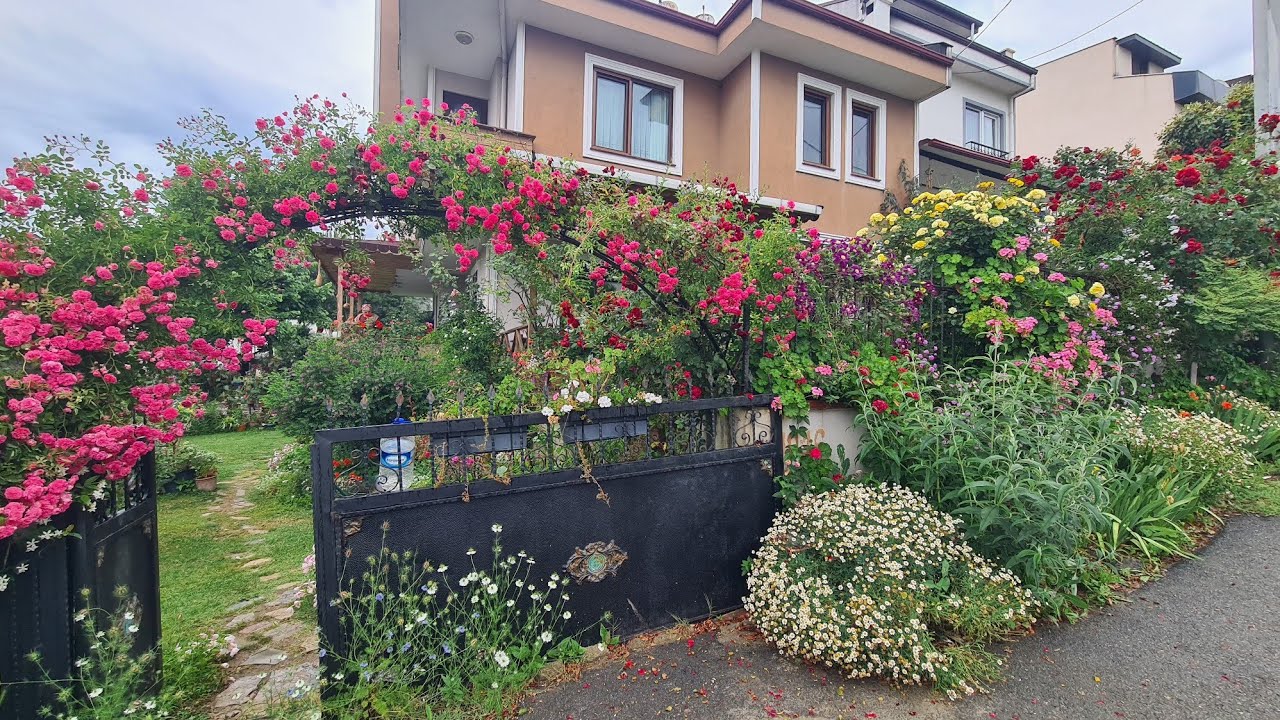 Dünyanın En Güzel Bahçesi, Yıkılmadan Çekeyim Dedim