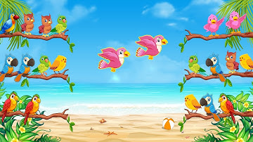 Bird Sort Color Puzzle Game 3D Trailer1 Players Junction | Deep Pocket Studio
