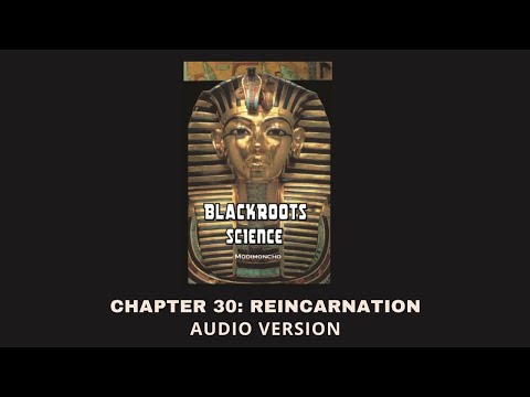 Chapter 30: Reincarnation - Blackroots Science Vol. 1