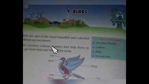Class-3 Subject-E.V.S.Ch-9(Birds)