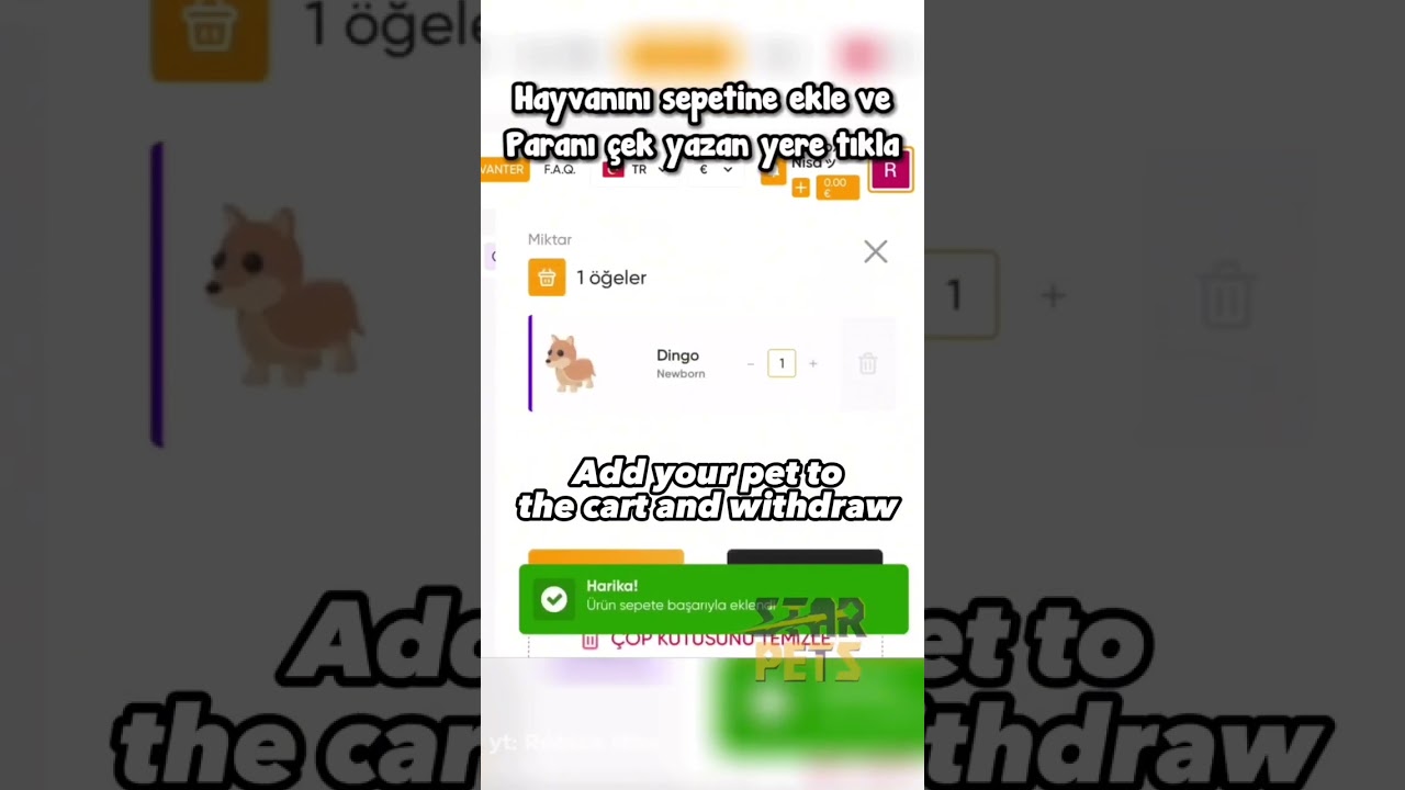 Starpets gg error6｜TikTok Search