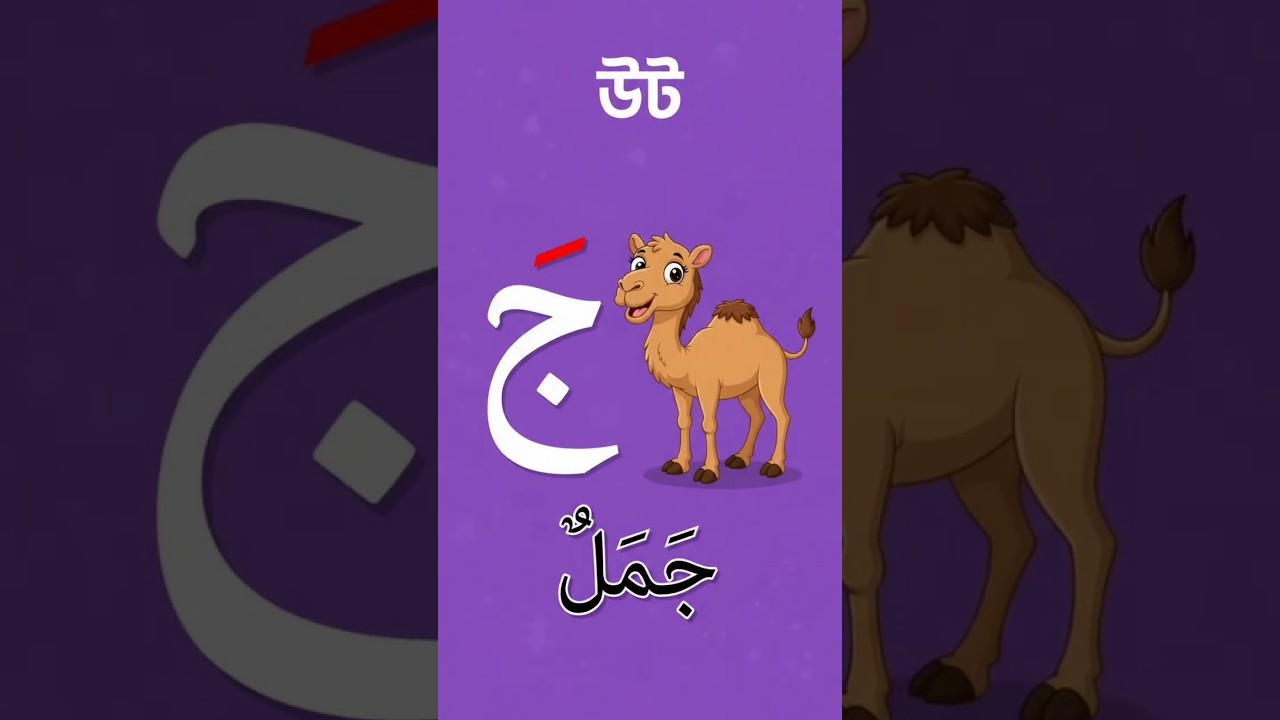 আরবি বর্ণমালা শিখি কার্টুন দেখে | Arabic Alphabet with Bengali Meaning #Shorts #Arabic Alphabet