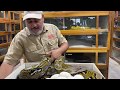 HUGE Reticulated Python Clutch!!