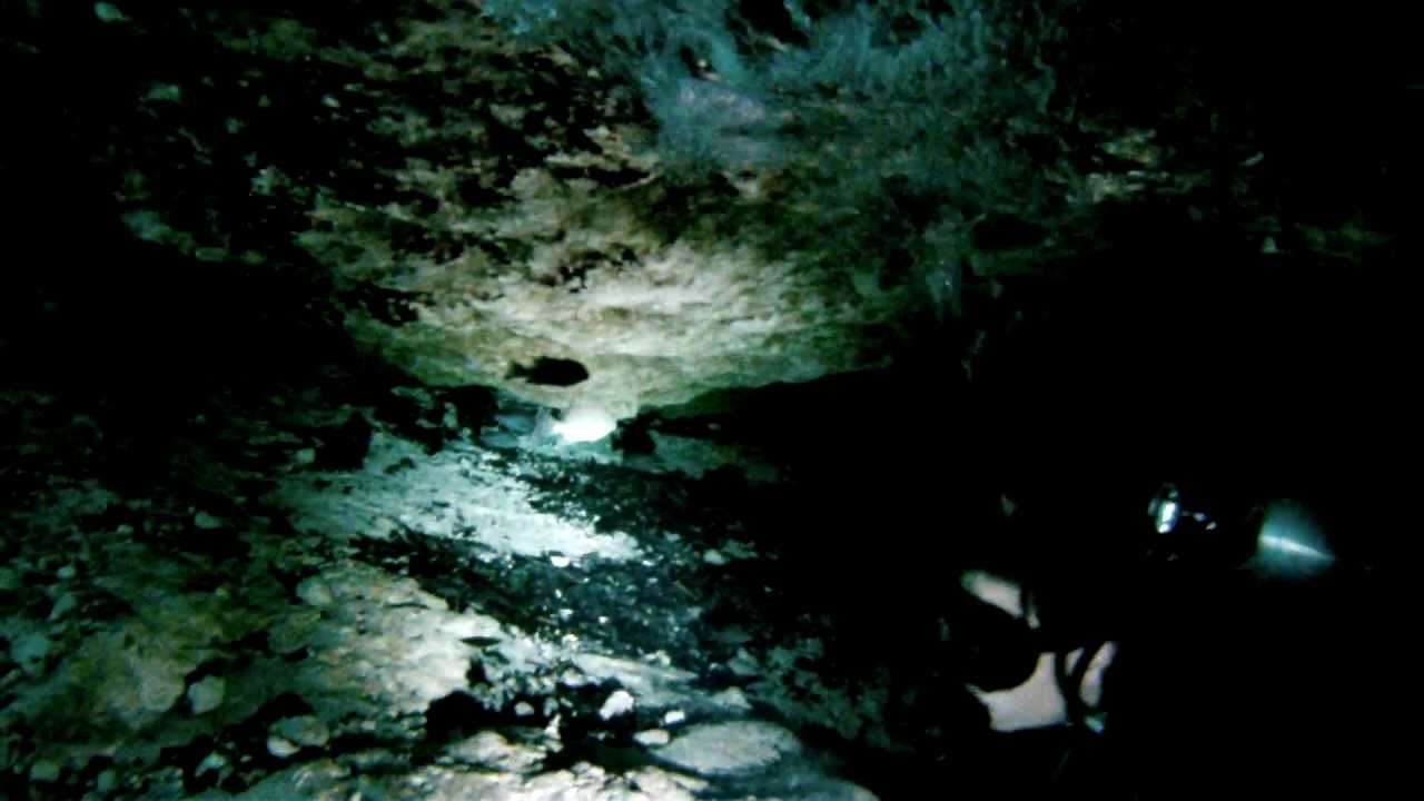 Ginnie Springs Cavern Dive 1 YouTube