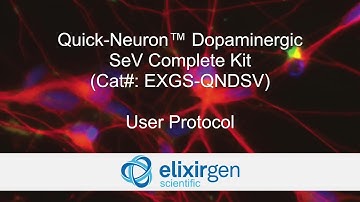 Protocol for Quick-Neuron Dopaminergic - SeV Complete Kit
