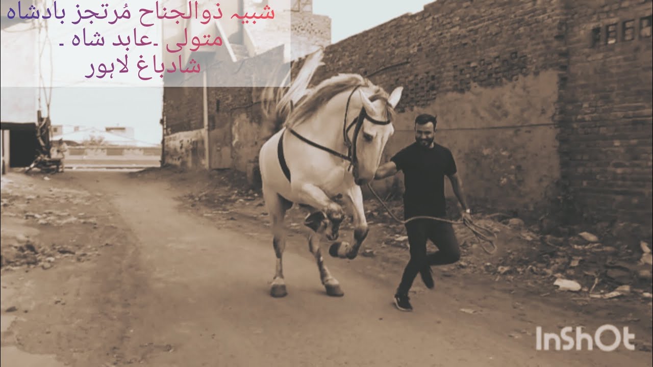 Murtajiz Badshah Matwali Abid Shah Shadbagh lhr.