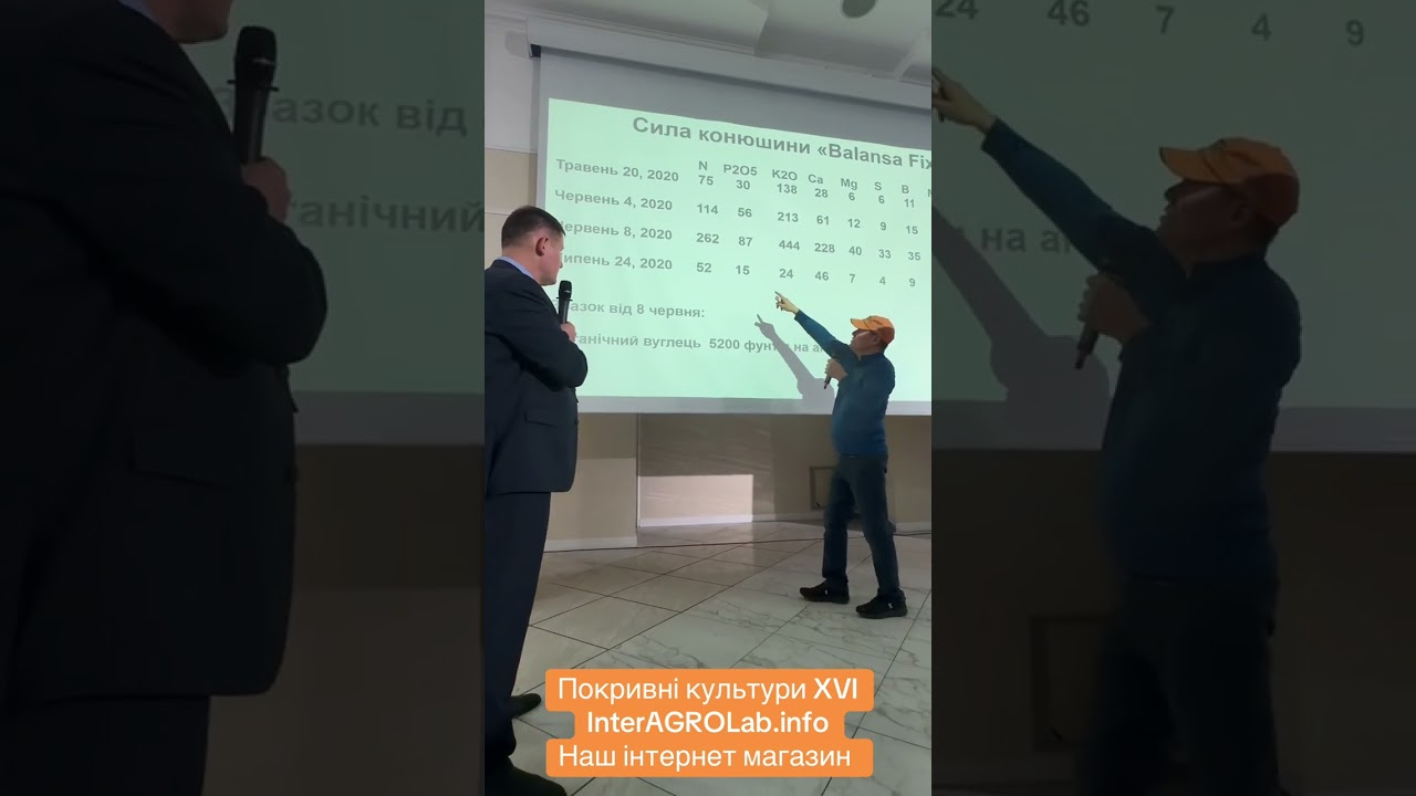 Покривні культури XVI