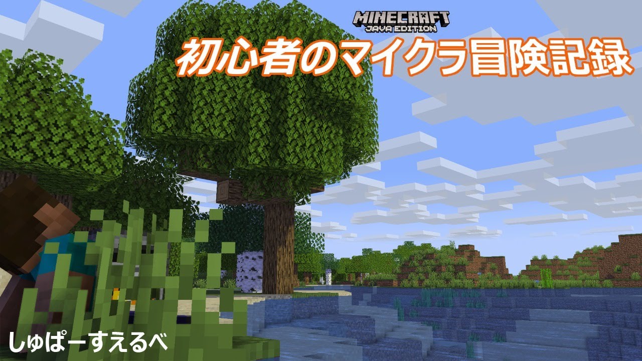 マインクラフト 新らしい村の場所を決めるためにエリトラで旅をするよ 初心者のマイクラ冒険記録 39日目 ネタバレ Youtube