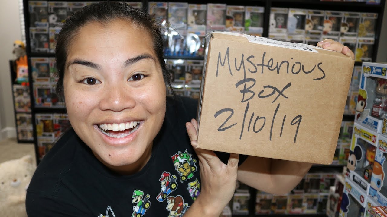 Shumi Funko Pop Mysterious Box Unboxing - [2.10.19]