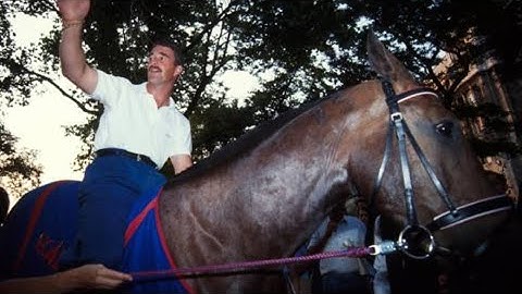 Formula one 1991 Hungarian GP (R10)