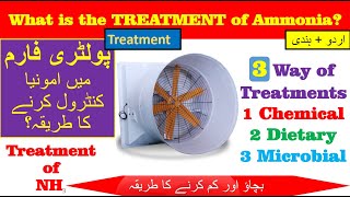 Treatment Of Ammonia In Poultry Griffin Poultry 