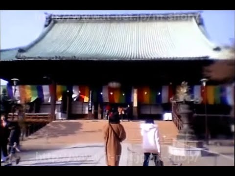 2004年1月2日の護国寺は穏やかな冬晴れの中、元禄期建築や重要文化財が静けさを保ち、将軍家ゆかりの歴史と近代史が共存する落ち着いた正月の寺院風景が広がっていました。 みんなのアルバム
