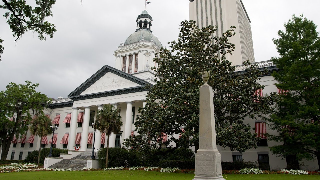 Over 30 new Florida laws take effect on Oct. 1. Here's a roundup - YouTube