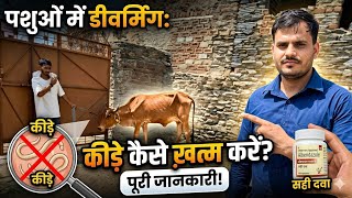 Cattle deworming करने का सही तरीका। #पशुओं में deworming #Dr.Anil sharma #Dairy farming