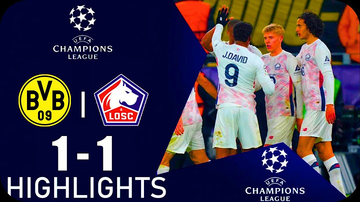 Dortmund vs LOSC Lille 1-1 | Le Résumé | Ligue des Champions de l'UEFA 2024-25 | bvb lille