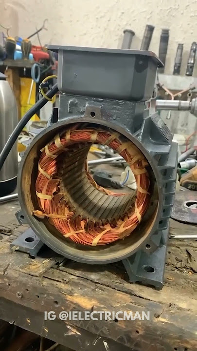 Electric Motor #motor #motorinside #motors #magnetism #motorparts #motorwinding #internalmotor