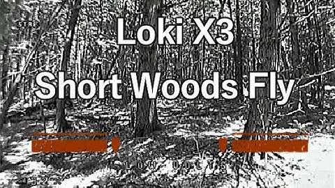 Storm Racing Drone Loki X3 - SRD 130 Storm | Short Woods Fly