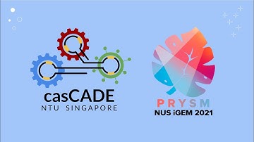 NTU-Singapore: Synthetic Biology (Diagnostics)