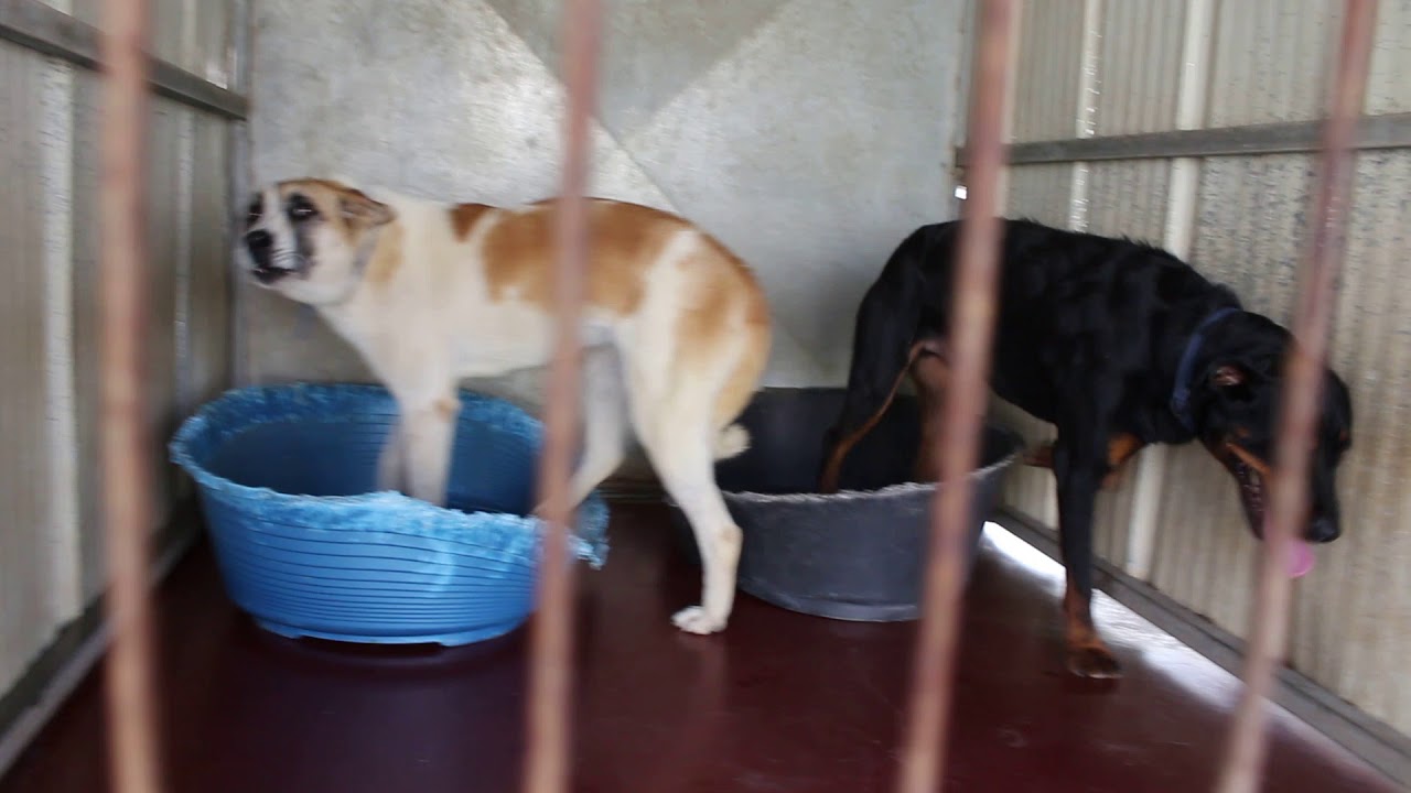 ‫לך תסמוך על בני אדם‬‎ - YouTube