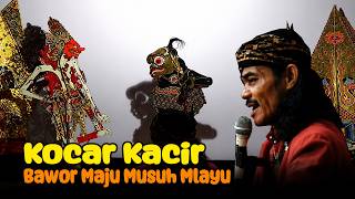 Tanding Bawor VS Dasakumara || Ki Solih Suyono Kroya Cilacap || Wayang Kulit