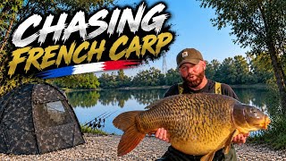 I Caught The Most BEAUTIFUL Carp In The World || Carp Fishing In France