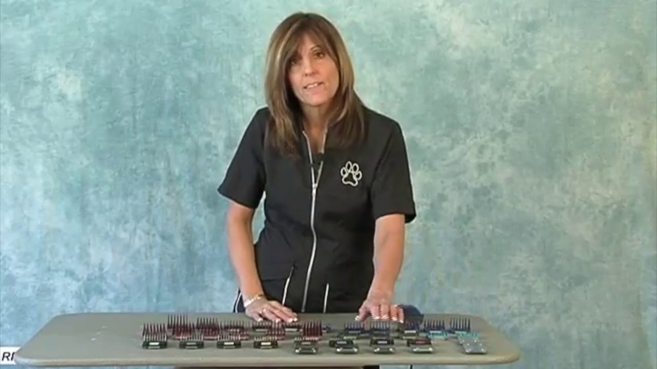 Snap-On Combs: Learn the Expert Theories & Techniques