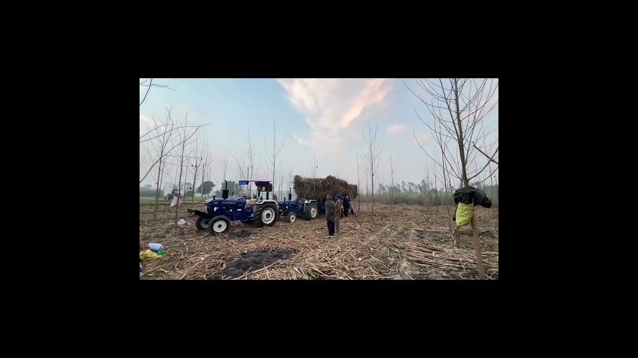 Ajj chale mill tralli la k 