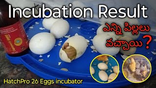 Incubator Incubation Results || How Many Chicks Hatched
